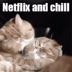 Netflix And Chill Reality
