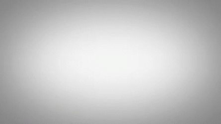 Netflix Fanus Oficial Intro GIF