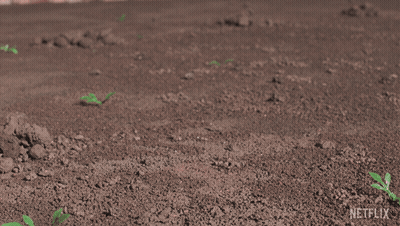 Netflix Logo Behind Stuffed Animals In Dirt GIF