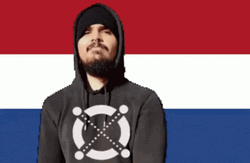 Netherlands Blazzord Approve GIF
