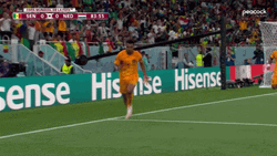 Netherlands Win World Cup GIF