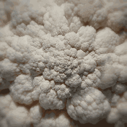 Never Ending Fog Illusion GIF