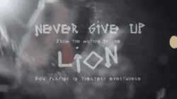 Never Give Up Lion Music Video GIF