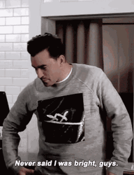 Never Said I Was Bright David Rose GIF
