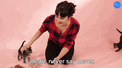 Never Say Never Loving Furmom GIF