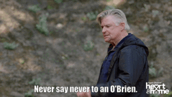 Never Say Never O'Brien Heart And Home GIF
