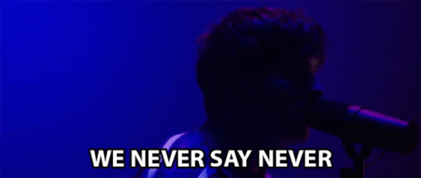 Never Say Never Robin Lundback GIF