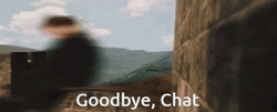 Neville Longbottom Goodbye Chat GIF