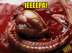 New Born Xenomorph GIF
