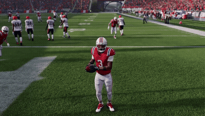 New England Patriots Playing Football GIF