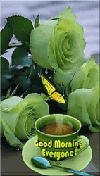 New Good Morning All In Green GIF