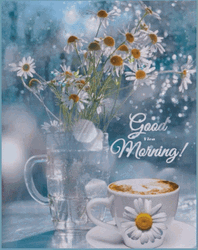 New Good Morning Flower In A Glass GIF