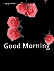 New Good Morning GIF File 612Kb GIF