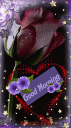 New Good Morning GIF File 756Kb GIF