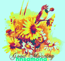 New Good Morning Hnsamona GIF
