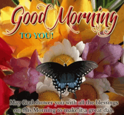 New Good Morning To You GIF