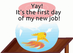 New Job First Day Yay Excited Goldfish Cartoon