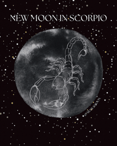 New Moon In Scorpio Poster With Scorpion GIF
