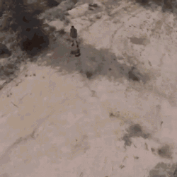 New Phone Who Dis Falcon Hawk Message GIF