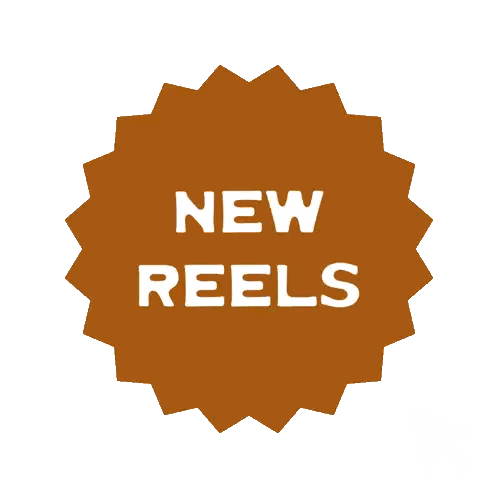 New Reels Sticker