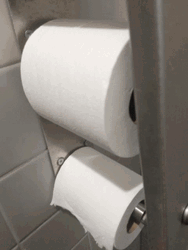 New Replace Toilet Paper GIF