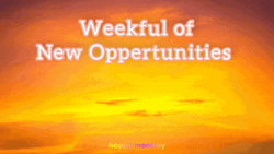 New Week Full Of Opportunities GIF
