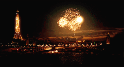 New Year's Eve In Paris GIF