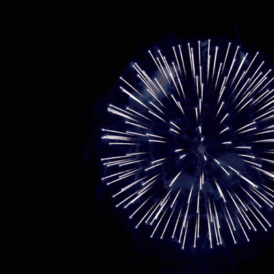 New Year's Resolution Poster Fireworks Salvation GIF