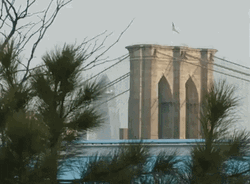 New York City Brooklyn Bridge GIF