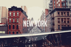 New York City Cinemagraph GIF