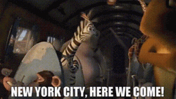 New York City Madagascar GIF