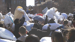 New York City Pillow Fight GIF