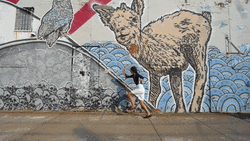 New York City Wall Graffitti GIF