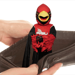 New York Jets Mascot Where's My Money GIF