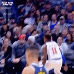 New York Knicks Jalen Brunson Scored GIF