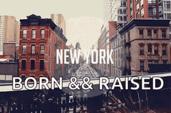 New York GIF