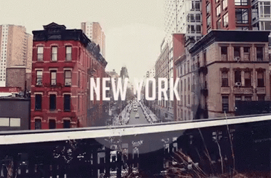 New York NYC Oh Fact GIF