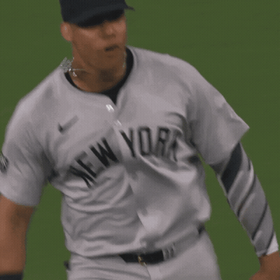 New York Yankees Baseball Player GIF