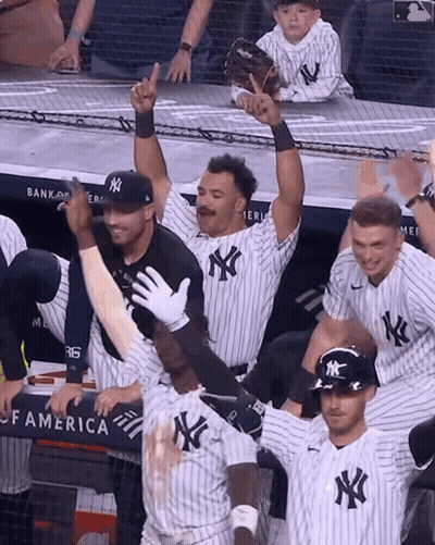 New York Yankees Celebrating GIF