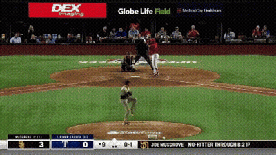 New York Yankees In Dugout Watching Game GIF