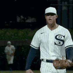 New York Yankees Lfg GIF