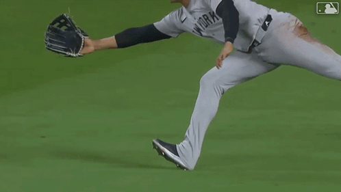 New York Yankees Player Catching Ball GIF