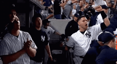 New York Yankees Player In Dugout GIF