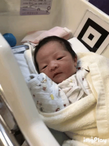 Newborn Baby Wrapped In Blanket Looking At Camera GIF
