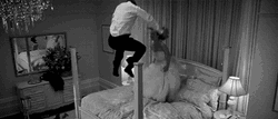 Newly Wed Enjoying First Nigh Romance GIF