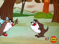 Newly Wed Tasmanian Devil GIF