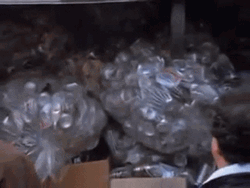 Newman And Seinfeld Closing Truck GIF
