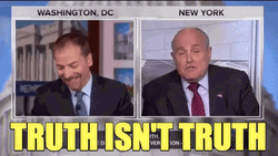 News Reporters Truth Isnt Truth GIF