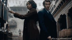 Newt Scamander Duel GIF