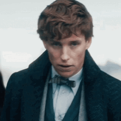 Newt Scamander Getting Arrested GIF